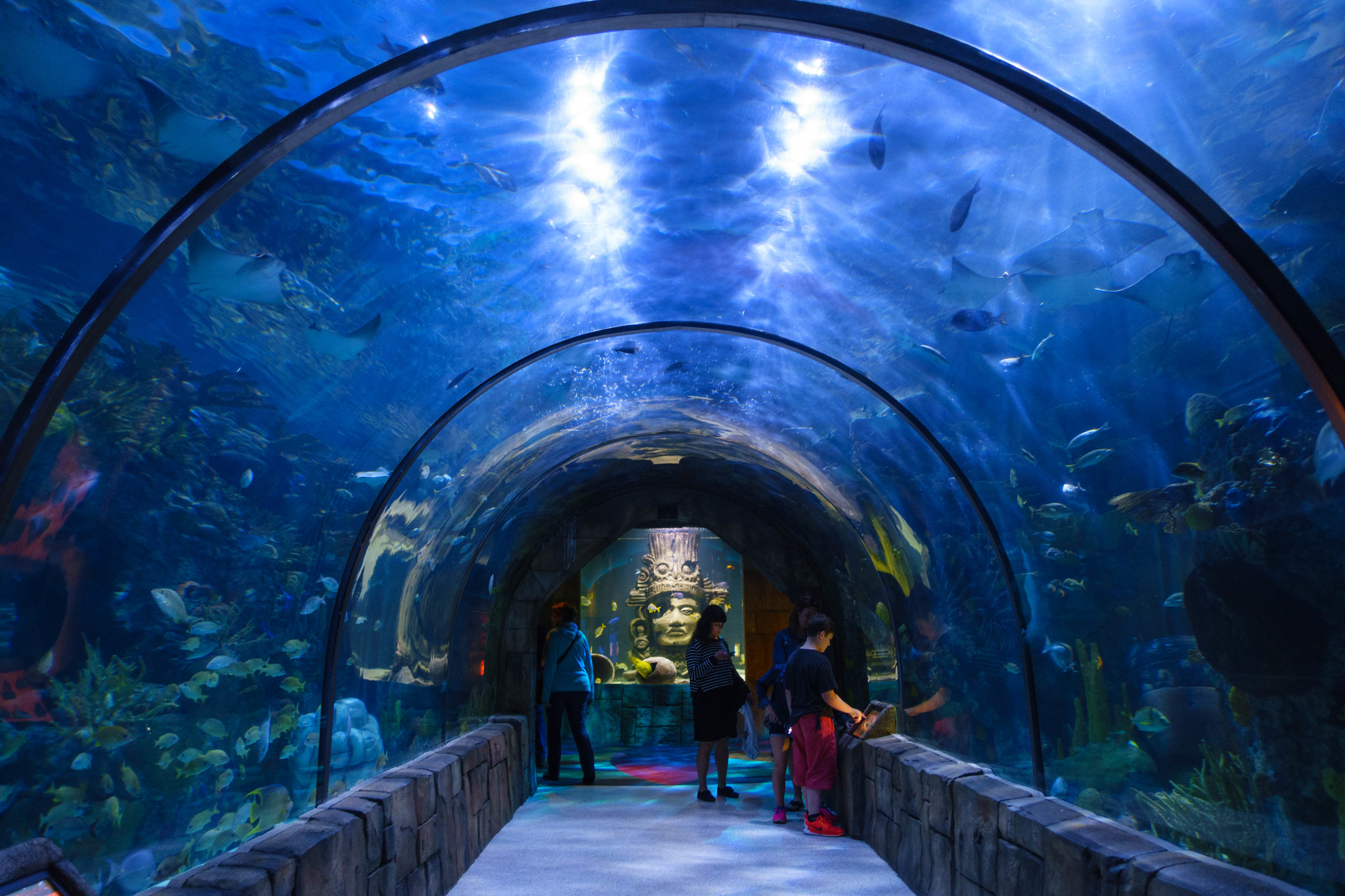 Visitors inside a blue aquarium tunnel with fish and rays overhead, Audubon Aquarium, April 2015.